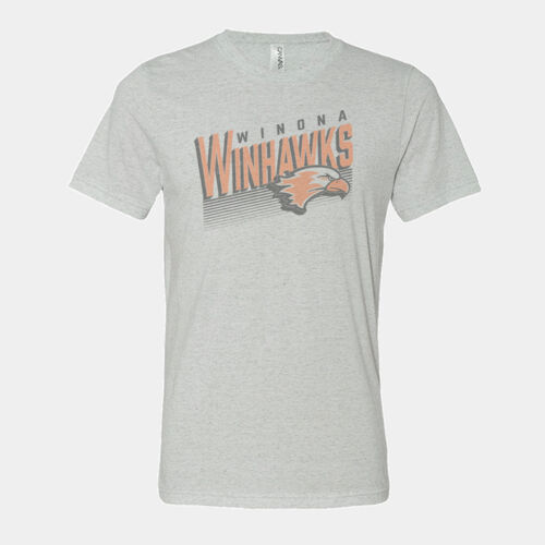 Unisex Triblend Tee - Faded Stripe logo Thumbnail